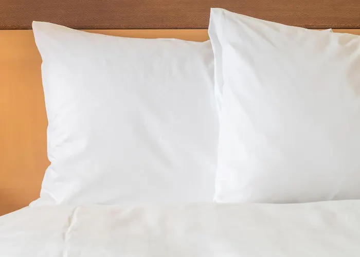 奥格斯堡智选假日酒店 3*